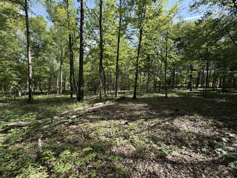 0 Millersburg Rd, Christiana, TN 37037