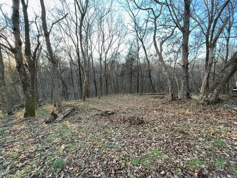 0 Baptist Church Rd, Culleoka, TN 38451