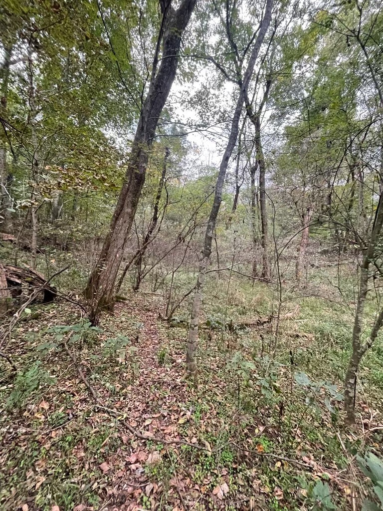 0 Baptist Church Rd, Culleoka, TN 38451