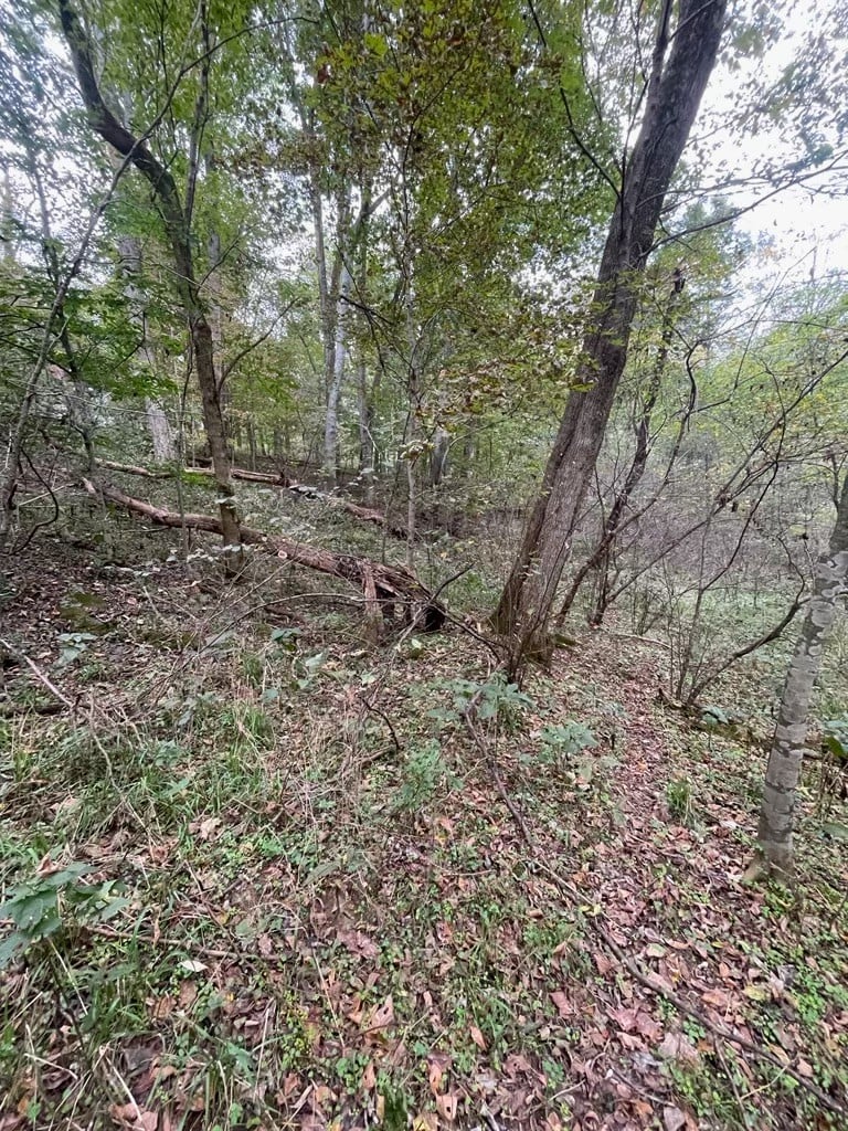 0 Baptist Church Rd, Culleoka, TN 38451