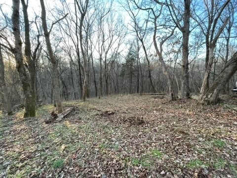 0 Baptist Church Rd, Culleoka, TN 38451