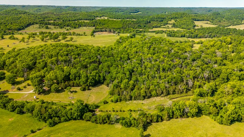 73 Shoulders Ln, Dixon Springs, TN 37057