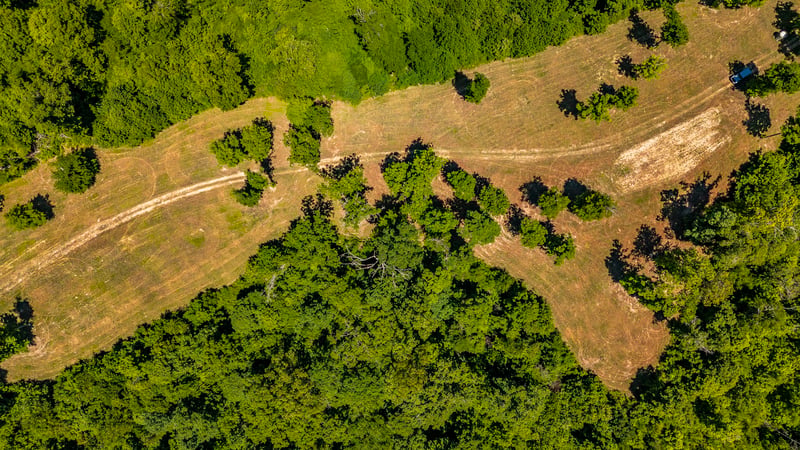 8388 Cub Creek Rd, Nashville, TN 37209