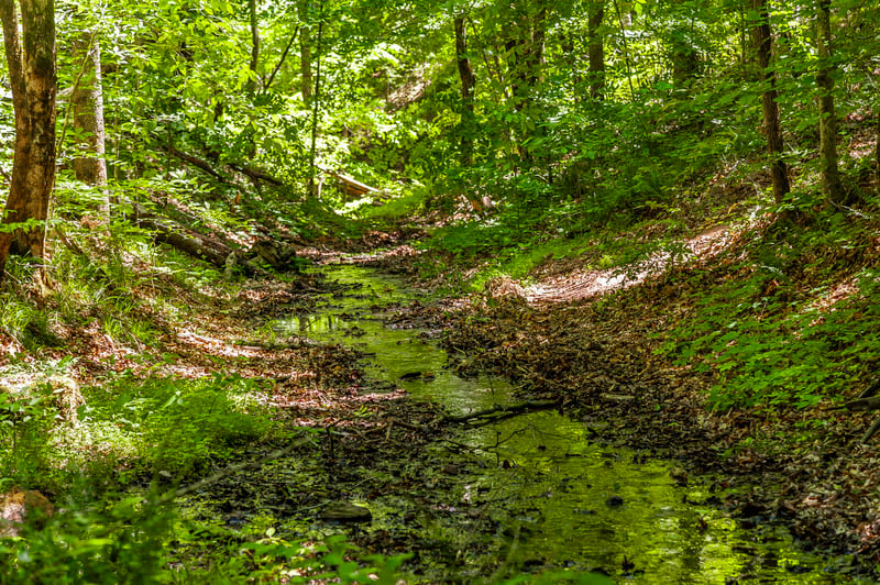 8388 Cub Creek Rd, Nashville, TN 37209