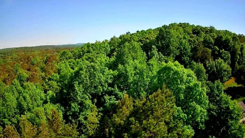 302 Timberland Trl, Ringgold, GA 30736