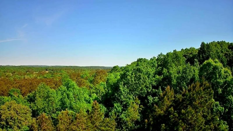 302 Timberland Trl, Ringgold, GA 30736