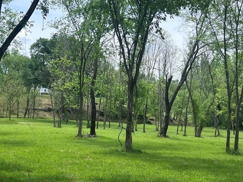 5006 Rock Springs Rd, Smyrna, TN 37167