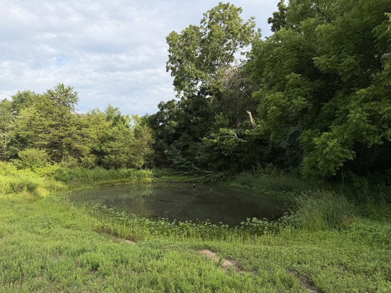 2370 Patton Hollow Rd, Watertown, TN 37184