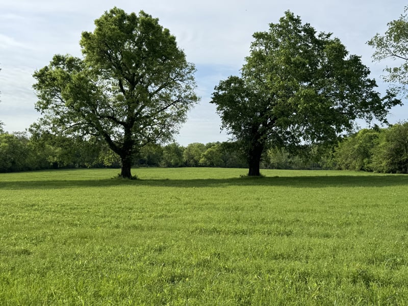 0 Clarksville Pike, Whites Creek, TN 37189