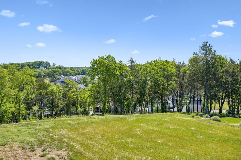9120 Sawtooth Ln Lot 14017, College Grove, TN 37046