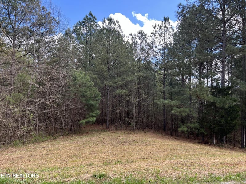 1727 Grand Pine Point Lot 16, Maryville, TN 37801