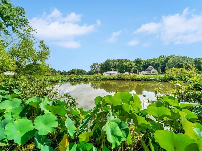 120 Walker Rd, Cottontown, TN 37048