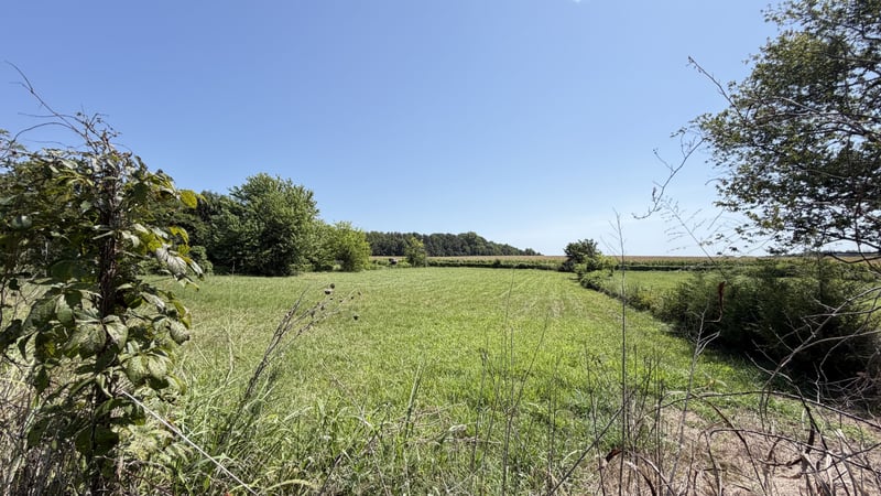5901 Payne Rd, Portland, TN 37148