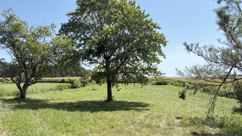 5901 Payne Rd, Portland, TN 37148