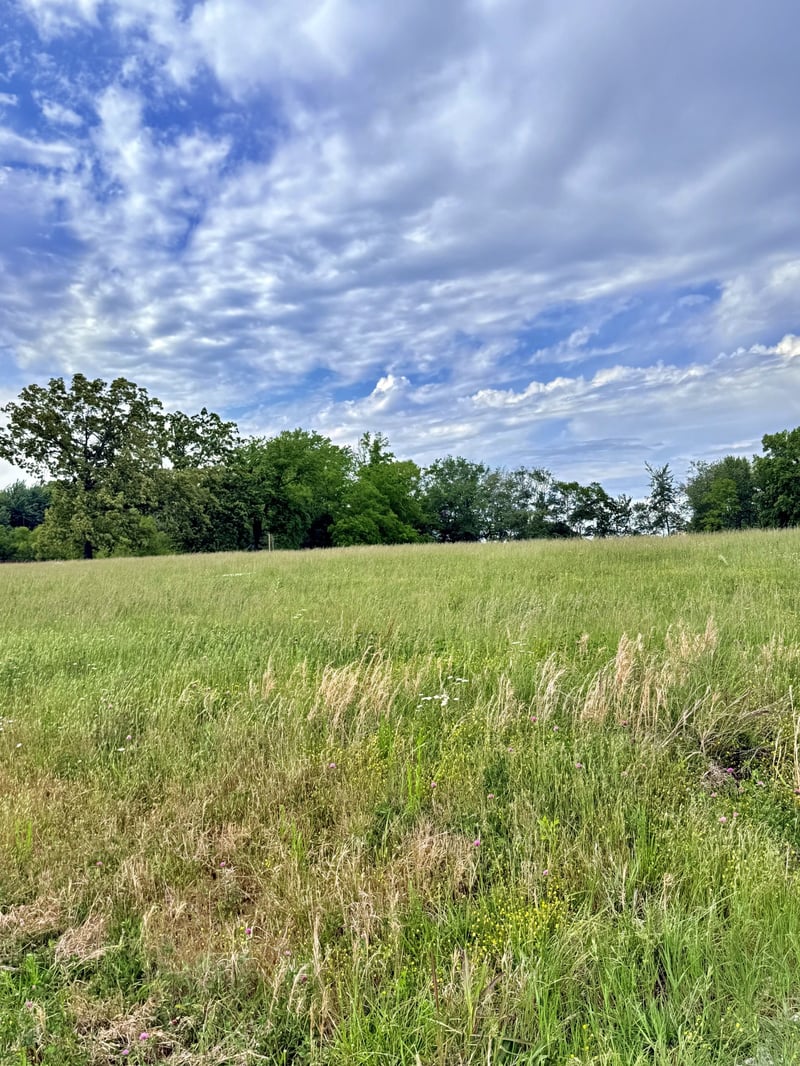 5165 Highway 41 N, Springfield, TN 37172
