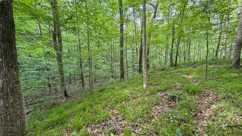 0 Murphy Hl, Trenton, GA 30752
