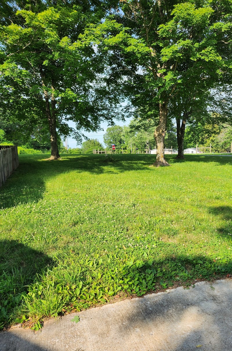 2416 Lee Dr, Pleasant View, TN 37146