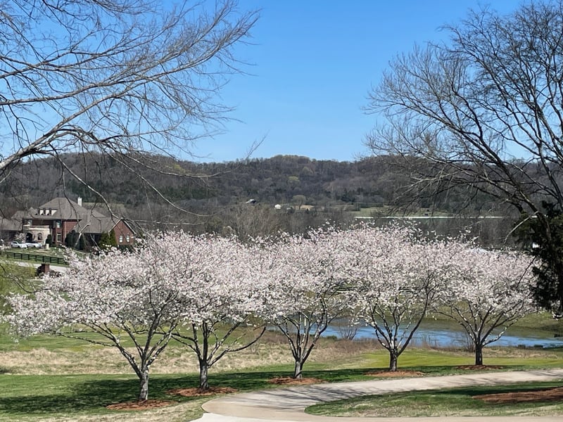 3235 Kinnard Springs Rd, Franklin, TN 37064