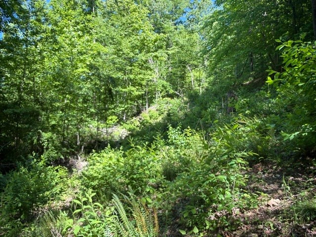 1 Bbq Rd, Dickson, TN 37055