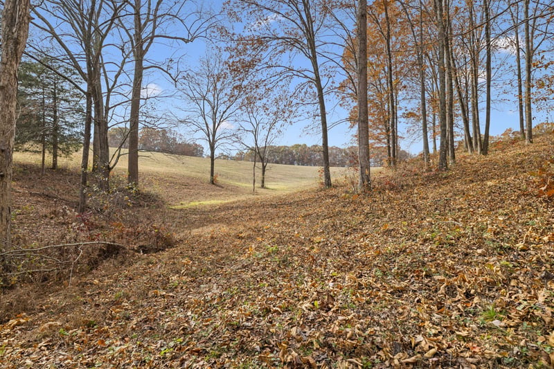 5515 Old Hwy 96, Franklin, TN 37064