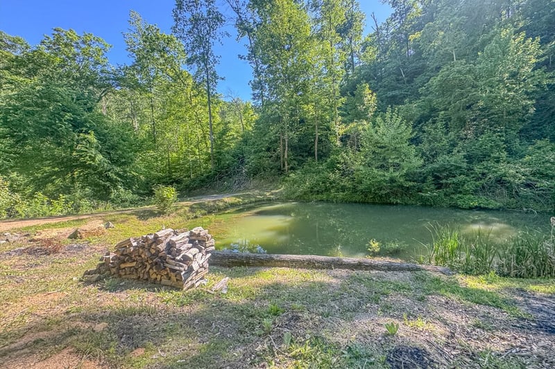 0 Lost Hollow Ln, Ashland City, TN 37015
