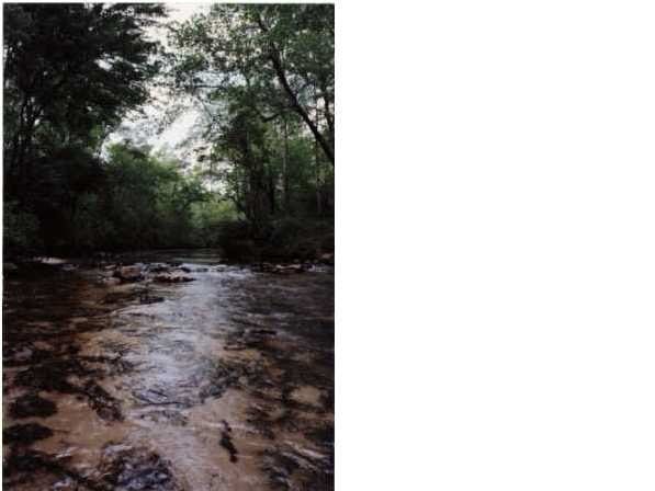 55 W Fork Ln, Mentone, AL 35984