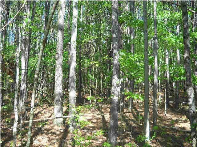 0 Clement Rd, La Fayette, GA 30728