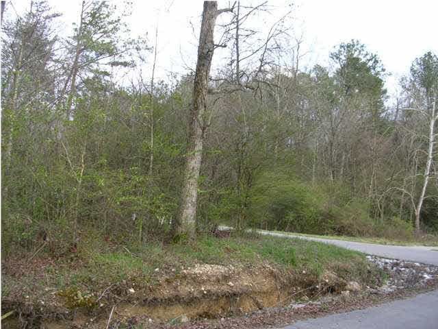 0 Hullender Rd, Ringgold, GA 30736