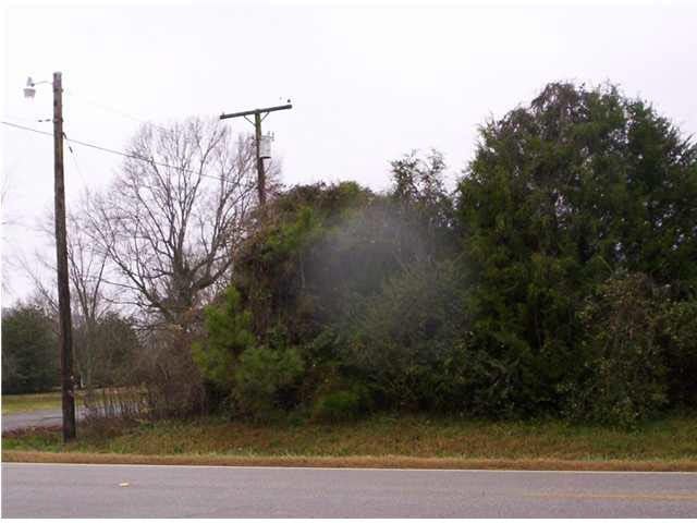 0 County Road 208, Bridgeport, AL 35740