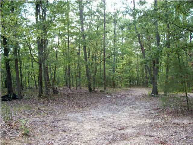 0 Millwee Hollow Rd, Rossville, GA 30741