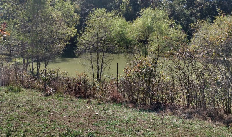 0 Lockertsville Rd, Ashland City, TN 37015