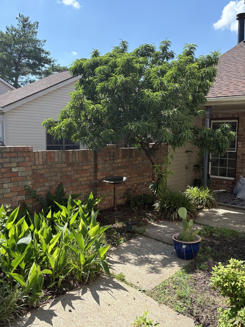 404 Laurel Hill Dr, Old Hickory, TN 37138