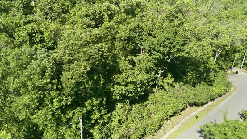 3 Saint James Pl, Nashville, TN 37215