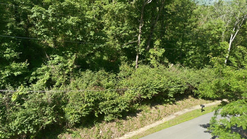 3 Saint James Pl, Nashville, TN 37215