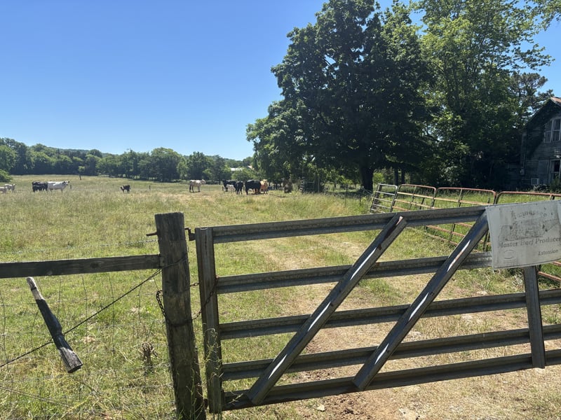 10171 Rockvale Rd, Rockvale, TN 37153