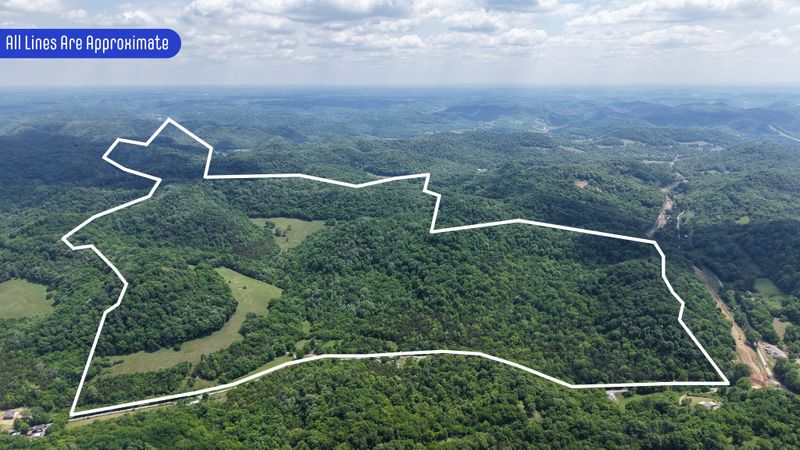 96 Maranatha Hollow Ln, Dixon Springs, TN 37057
