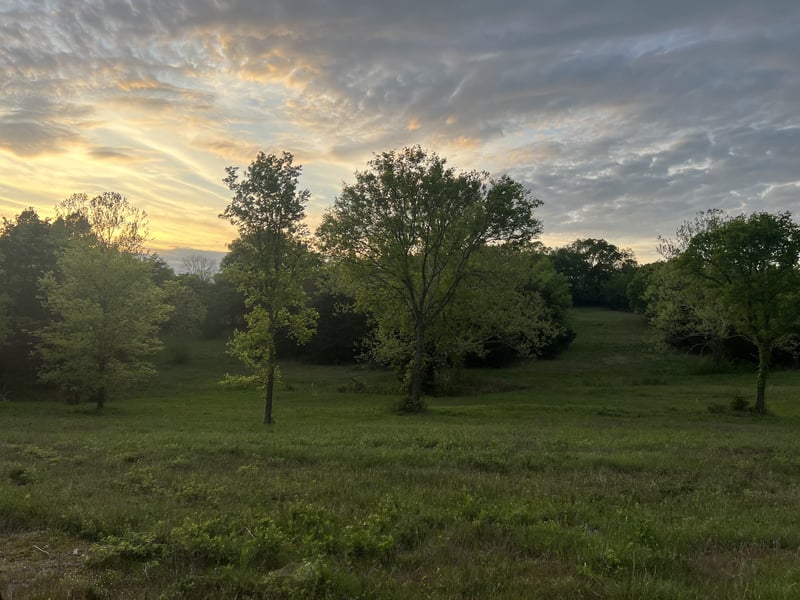 2315 Holloway Rd Lot 4, Lebanon, TN 37090