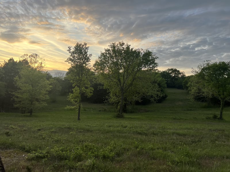 2315 Holloway Rd Lot 4, Lebanon, TN 37090