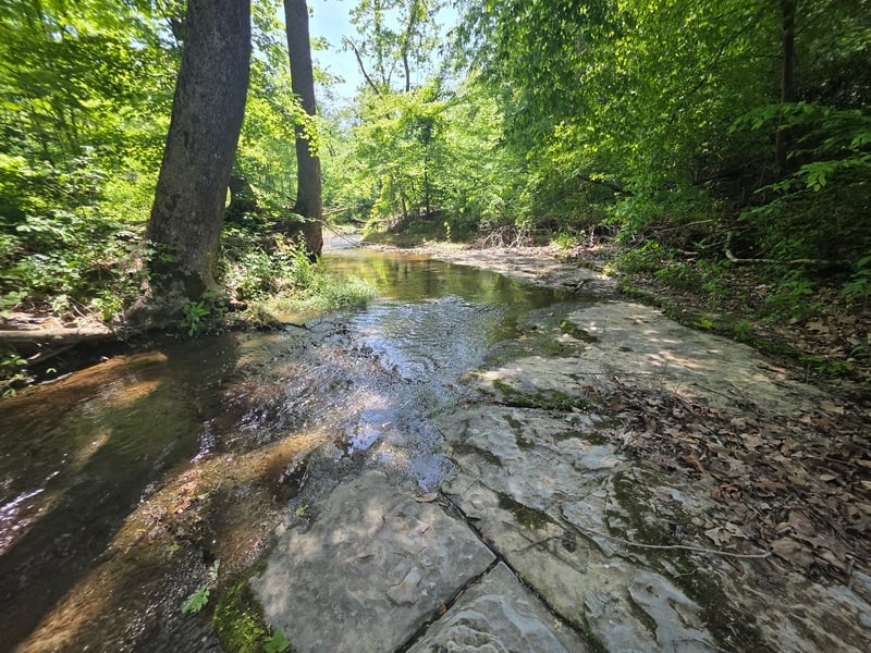 1310 Carney Winters Rd, Ashland City, TN 37015