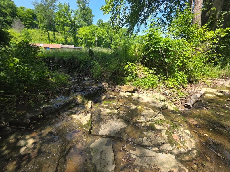 1310 Carney Winters Rd, Ashland City, TN 37015