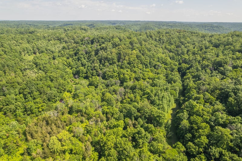 0 Haze Hyde Hollow Rd, Bethpage, TN 37022
