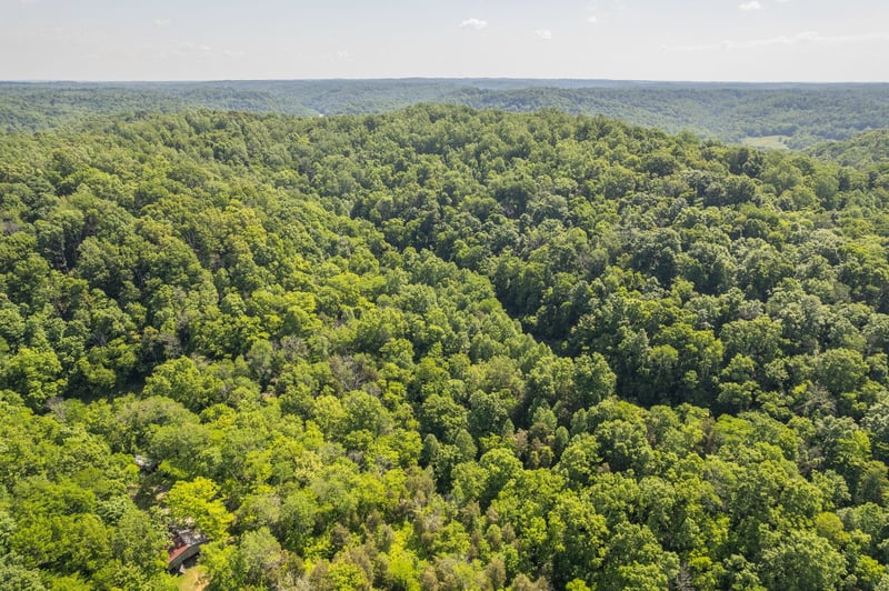 0 Haze Hyde Hollow Rd, Bethpage, TN 37022