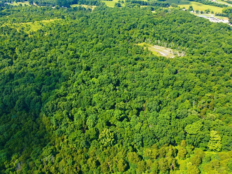 0 Kedron Rd, Spring Hill, TN 37174