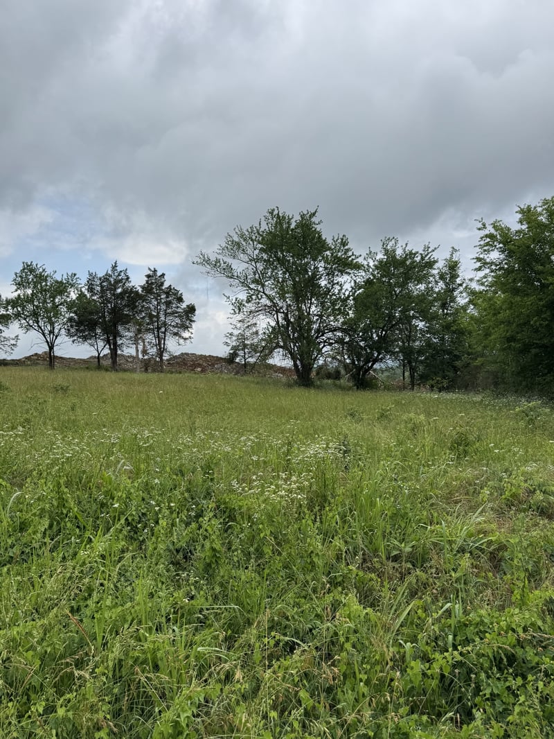 1555 E Stewarts Ln Lot 11, Nashville, TN 37218