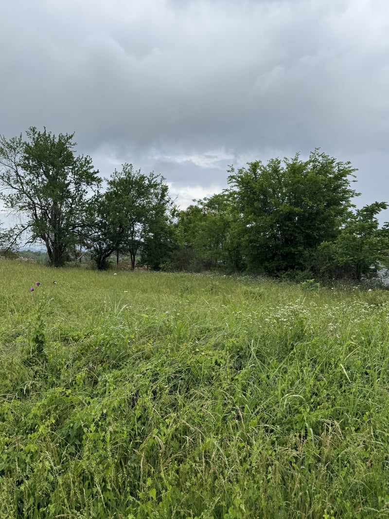 1555 E Stewarts Ln Lot 11, Nashville, TN 37218