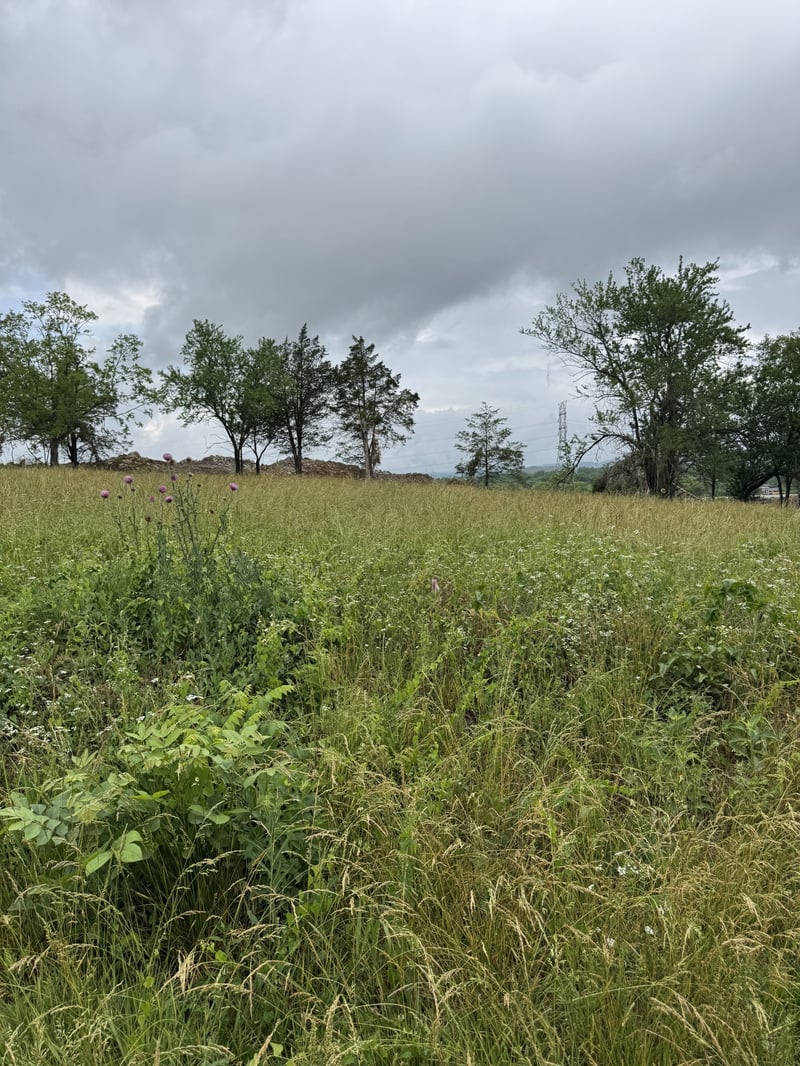 1543 E Stewarts Ln Lot 8, Nashville, TN 37218
