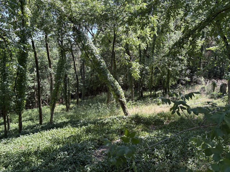 1060 Hickory Harbor Dr, Gallatin, TN 37066