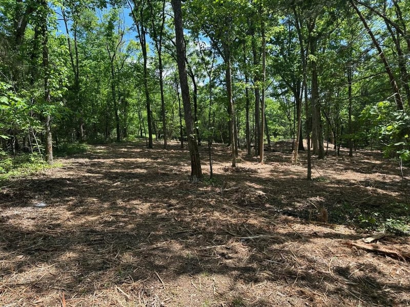 10515 Paw Paw Springs Rd, Arrington, TN 37014