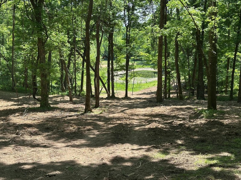 10515 Paw Paw Springs Rd, Arrington, TN 37014