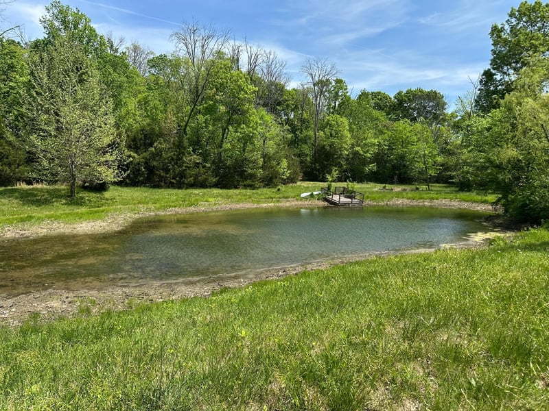 10515 Paw Paw Springs Rd, Arrington, TN 37014